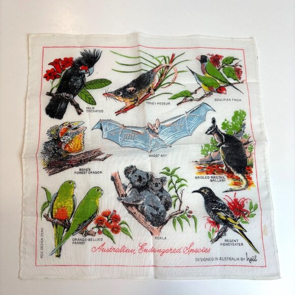 Australian Endangered Species Handkerchief Heil Koala Ghost Bat  Forest Dragon - Picture 1 of 6